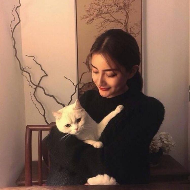 神谷熏（身份：神谷活心流代理师父、女主角） - 怀旧港剧全集在线观看 - 网络观看
